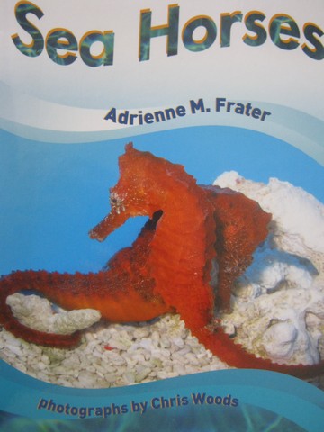 (image for) New Heights Sea Horses (P) by Adrienne M Frater