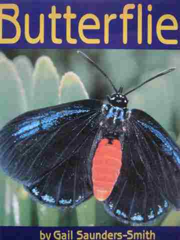 (image for) Butterflies (P) by Gail Saunders-Smith