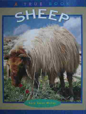 (image for) A True Book Sheep (P) by Sara Swan Miller