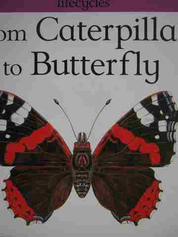 (image for) Lifecycles From Caterpillar to Butterfly (P) by April McCroskie