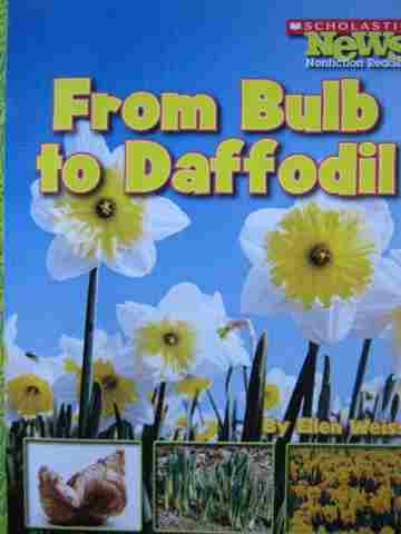 (image for) From Bulb to Daffodil (P) by Ellen Weiss