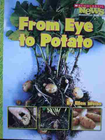 (image for) From Eye to Potato (P) by Ellen Weiss