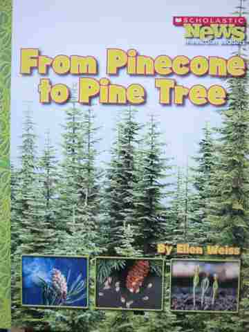(image for) From Pinecone to Pine Tree (P) by Ellen Weiss