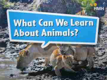 (image for) HMH Leveled Readers K What Can We Learn About Animals? (P)