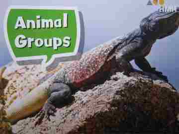 (image for) HMH Leveled Reader K Animal Groups (P) by Kristen Kunkel
