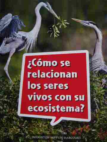 (image for) Como se relacionan los seres vivos con su ecosistema? (P)