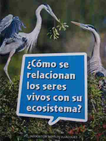 (image for) Como se relacionan los seres vivos con su ecosistema? (P)