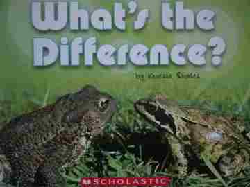 (image for) Brain Bank What's the Difference? (P) by Vanessa Rhodes