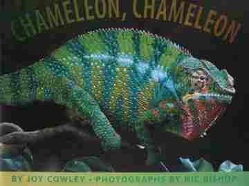 (image for) Chameleon Chameleon (P) by Joy Cowley