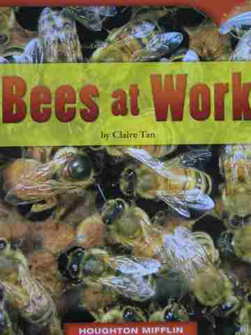 (image for) Leveled Readers 2 Bees at Work (P) by Claire Tan