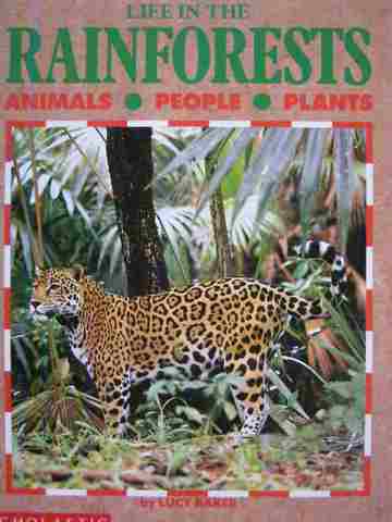 (image for) Life in the Rainforests (P) by Lucy Baker