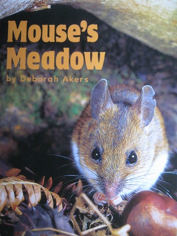(image for) Mouse's Meadow (P) by Deborah Akers