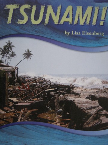 (image for) Tsunami! (P) by Lisa Eisenberg