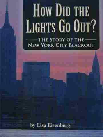 (image for) How Did the Lights Go Out? (P) by Lisa Eisenberg