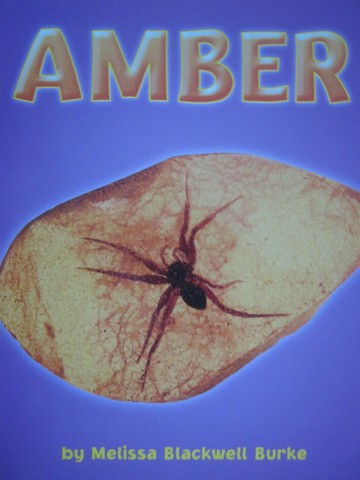 (image for) Amber (P) by Melissa Blackwell Burke