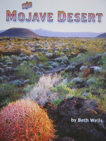 (image for) Mojave Desert (P) by Beth Wells