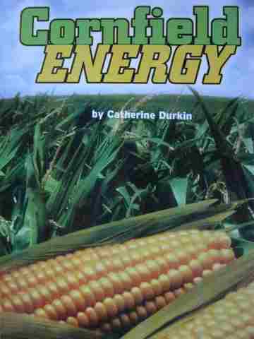(image for) Cornfield Energy (P) by Catherine Durkin
