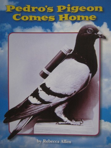 (image for) Pedro's Pigeon Comes Home (P) by Rebecca Allen