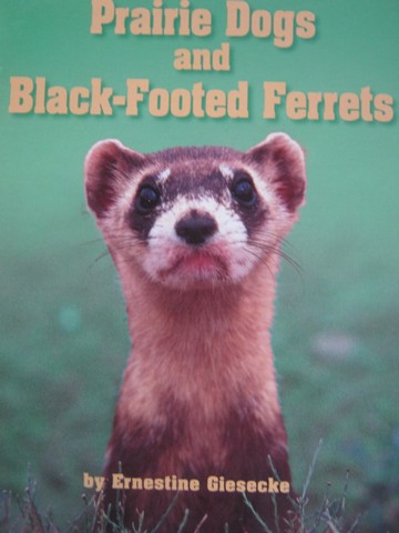 (image for) Prairie Dogs & Black-Footed Ferrets (P) by Ernestine Giesecke