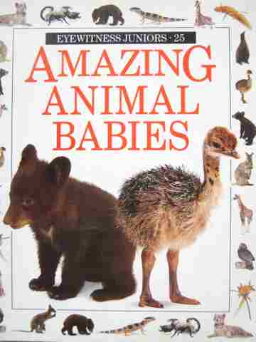 Amazing Animal Babies (P) by Christopher Maynard (image for) Amazing Animal Babies (P) by Christopher Maynard