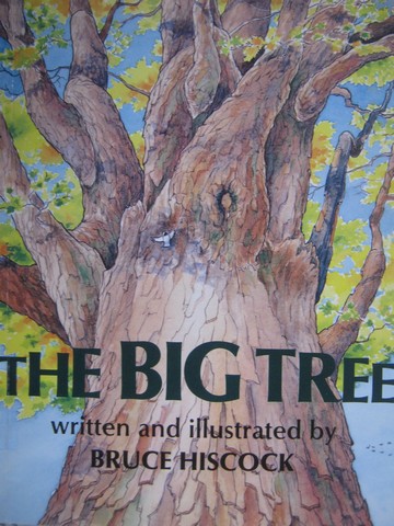 (image for) Big Tree (P) by Bruce Hiscock