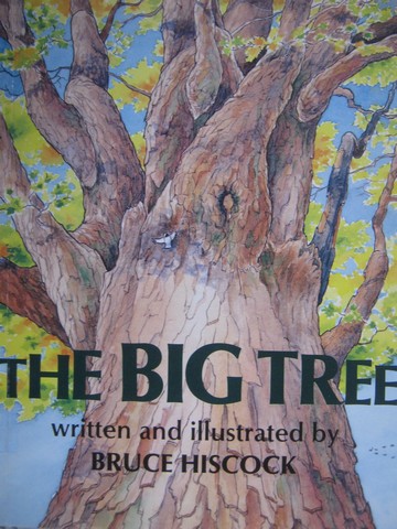 Big Tree (P) by Bruce Hiscock (image for) Big Tree (P) by Bruce Hiscock