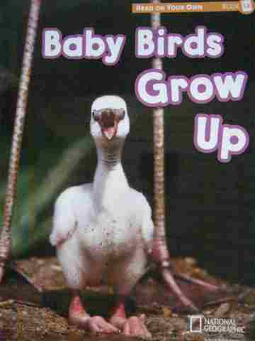 (image for) Reach into Phonics 1 Baby Birds Grow Up (P)