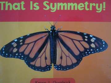 (image for) On Our Way to English E That Is Symmetry! (P) by Guralnick