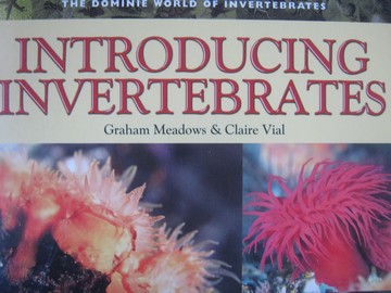 (image for) Dominie World of Invertebrates Introducing Invertebrates (P)