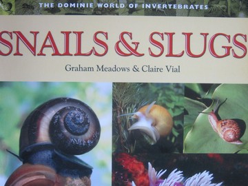 (image for) Dominie World of Invertebrates Snails & Slugs (P) by Meadows & Vial