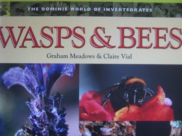 (image for) Dominie World of Invertebrates Wasps & Bees (P) by Meadows,
