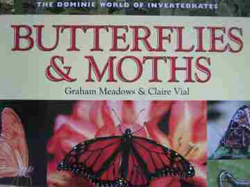 (image for) Dominie World of Invertebrates Butterflies & Moths (P) by Meadows & Vial