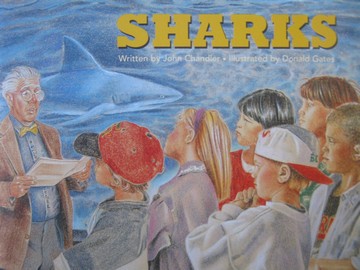 (image for) Ready Readers Sharks (P) by John Chandler