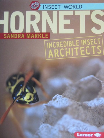 (image for) Insect World Hornets Incredible Insect Architects (P) by Markle