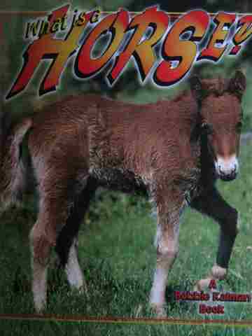 (image for) What is a Horse? (P) by Bobbie Kalman & Heather Levigne