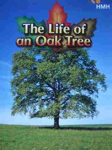(image for) Life of an Oak Tree (P) by Sharon Kahkonen