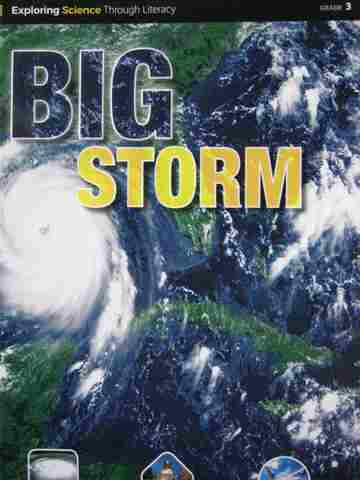(image for) Big Storm (P) by Stephanie Harvey