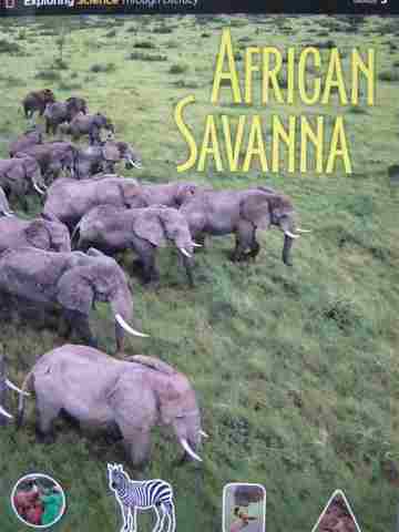 (image for) African Savanna (P) by Stephanie Harvey
