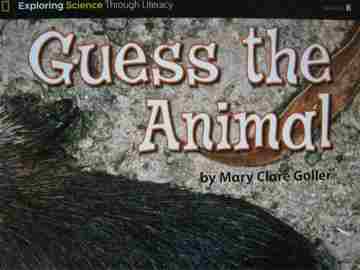 (image for) Guess the Animal (P) by Mary Clare Goller