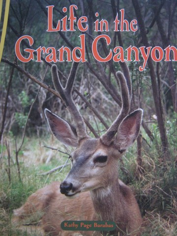 (image for) Discovery Links Life in the Grand Canyon (P) by Barabas