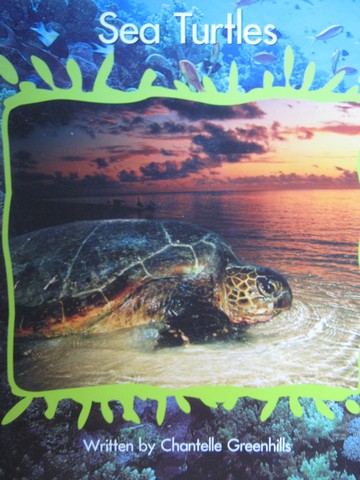 (image for) Springboard Sea Turtles (P) by Chantelle Greenhills