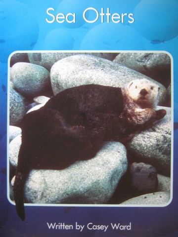 (image for) Springboard Level N Sea Otters (P) by Casey Ward