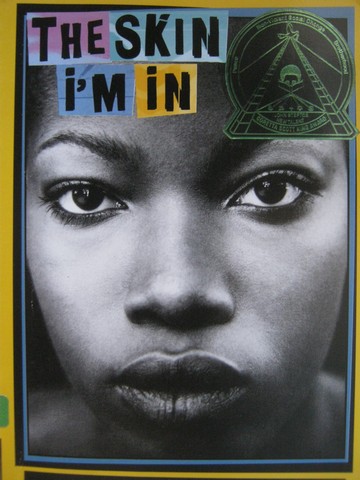 (image for) Skin I'm In (P) by Sharon G Flake
