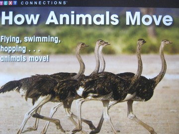 (image for) Text Connections How Animals Move (P) by Rebecca Grudzina