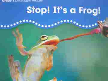 (image for) BuildUp Phonics 1 Stop! It's A Frog! (P) by Tammy Swann