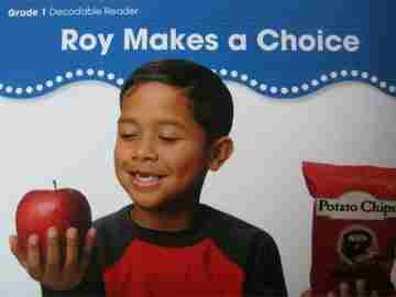 (image for) BuildUp Phonics 1 Roy Makes a Choice (P) by Tammy Swann