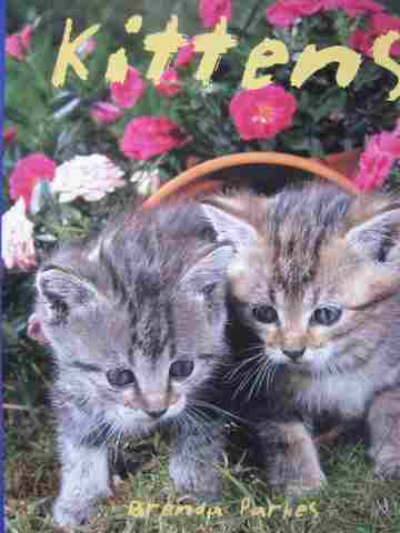 (image for) Discovery Links Early Level Kittens (P) by Brenda Parkes