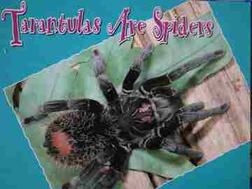 (image for) Book Shop Tarantulas Are Spiders (P) by Norman Platnick