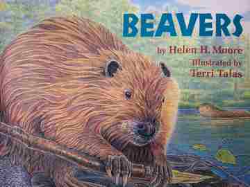(image for) Book Shop Beavers (P) by Helen H Moore
