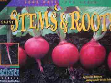 (image for) Look Once Look Again Plant Stems & Roots (P) by David M Schwartz